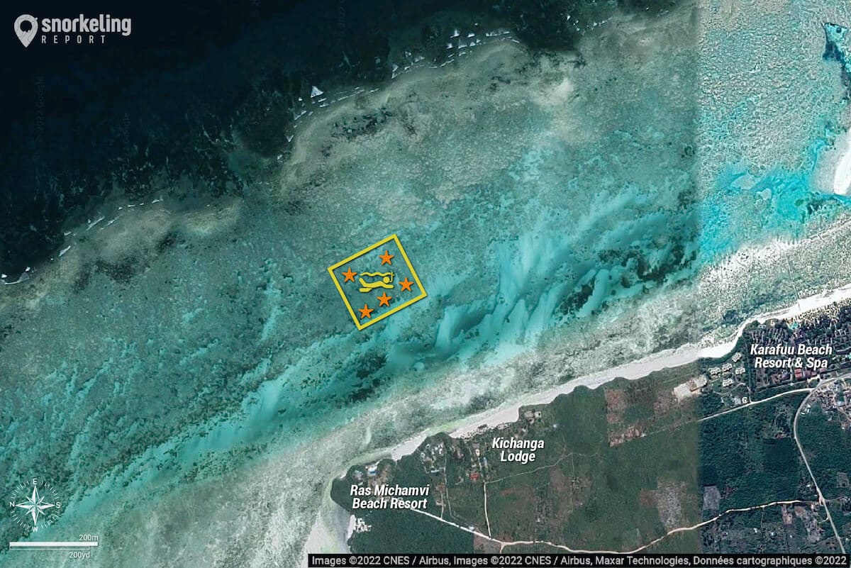 Starfish snorkeling spot map, Zanzibar