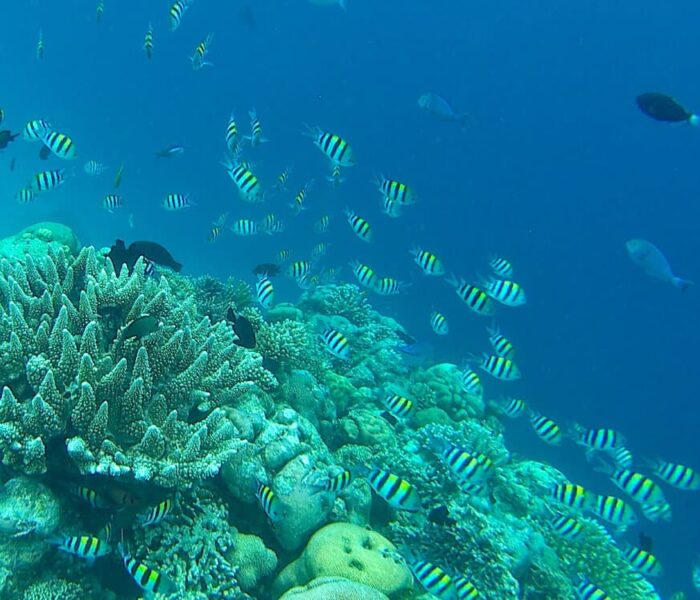 Pulau Mataking Kecil