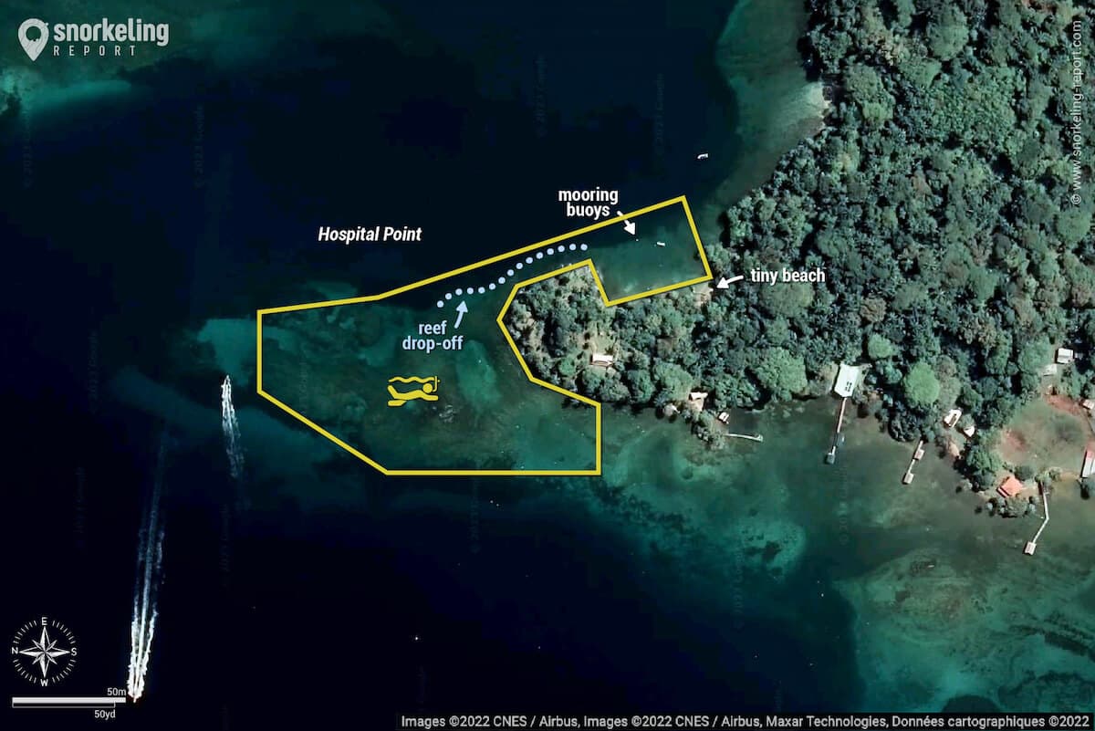 Hospital Point snorkeling map