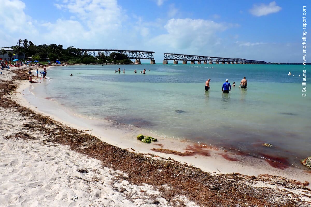 Calusa Beach is one of the two snorkeling locations found in Bahia Honda State Park.