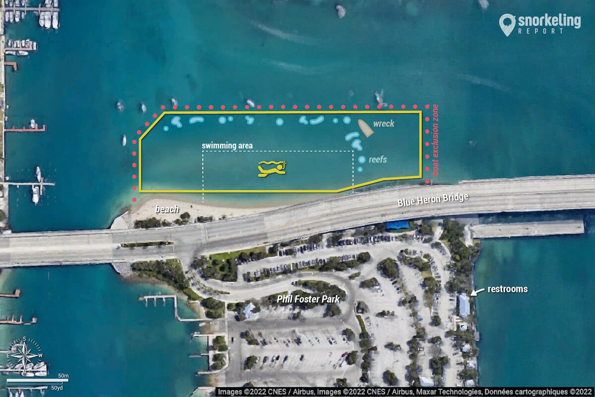 Blue Heron Bridge - Phil Foster Park snorkeling map