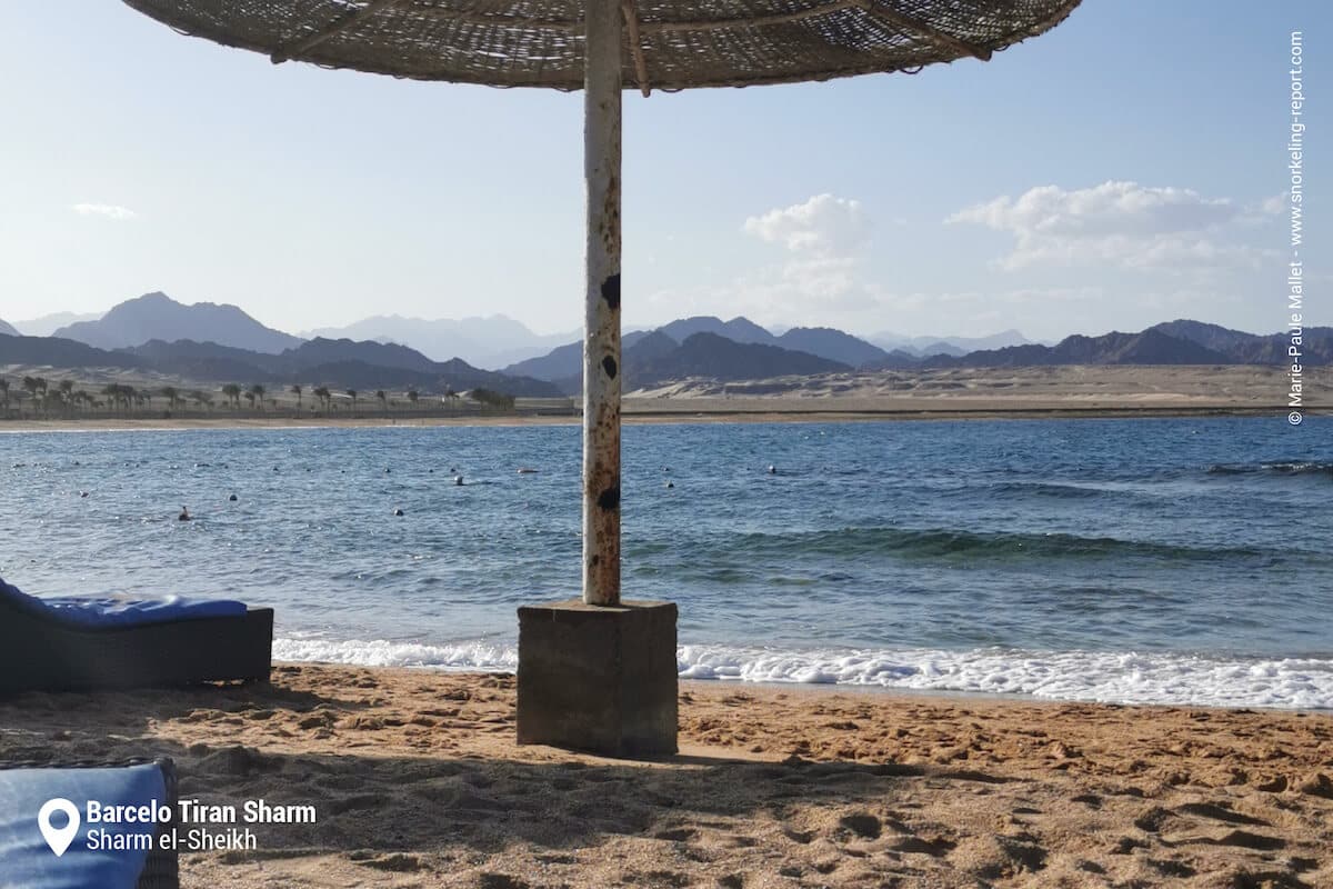 The beach at Barcelo Tiran Sharm