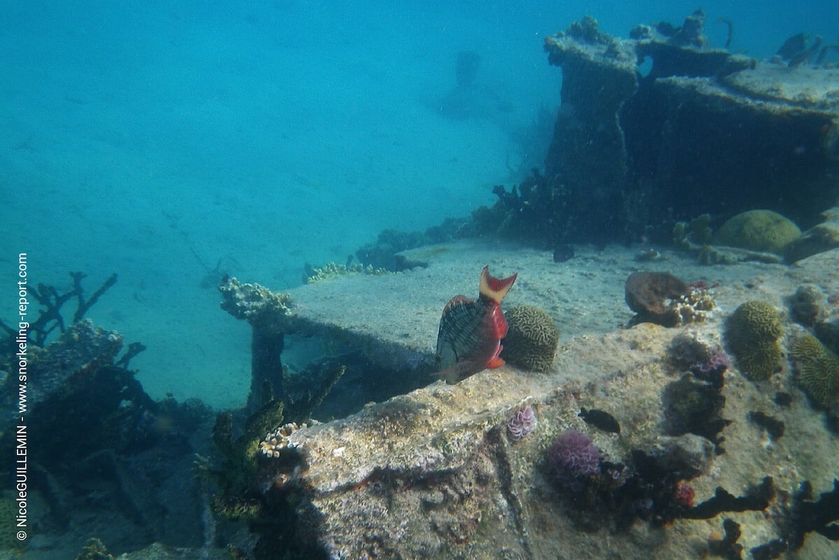 A shipwreck at Isla Perro Chico