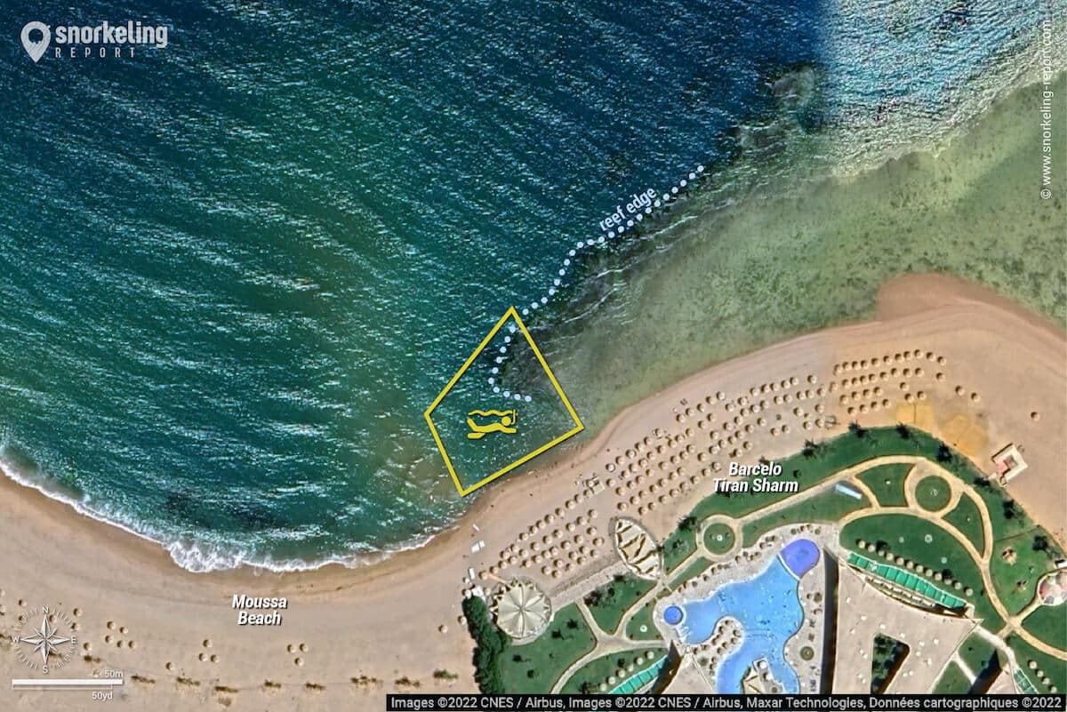 Barcelo Tiran Sharm snorkeling map