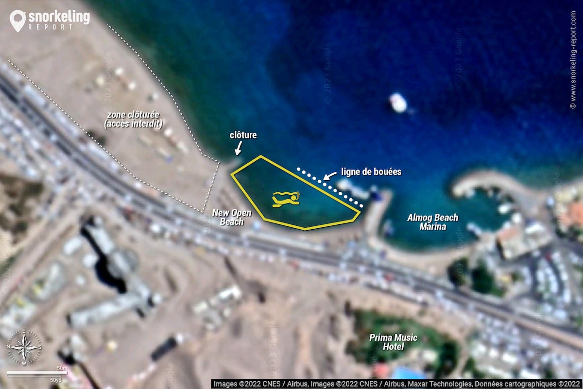 Carte snorkeling à New Open Beach, Eilat