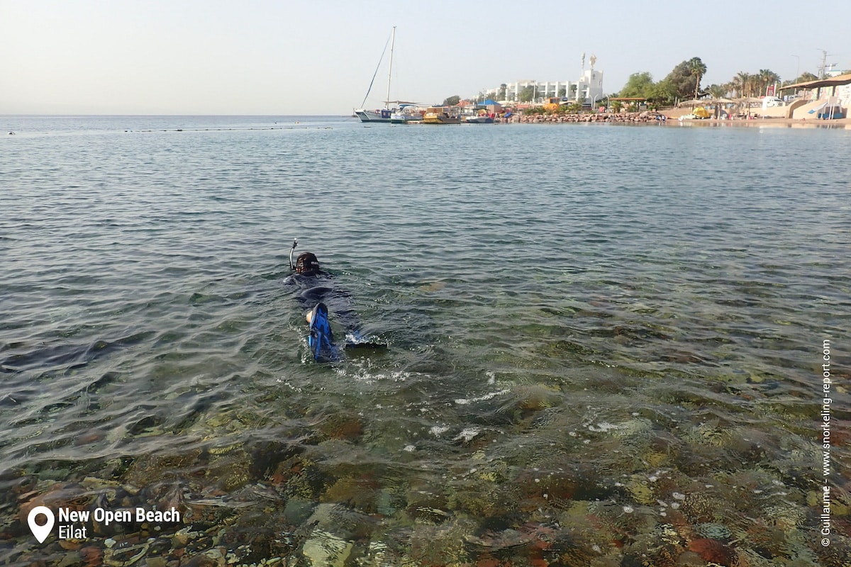 Snorkeling at the New Open Beach, Eilat