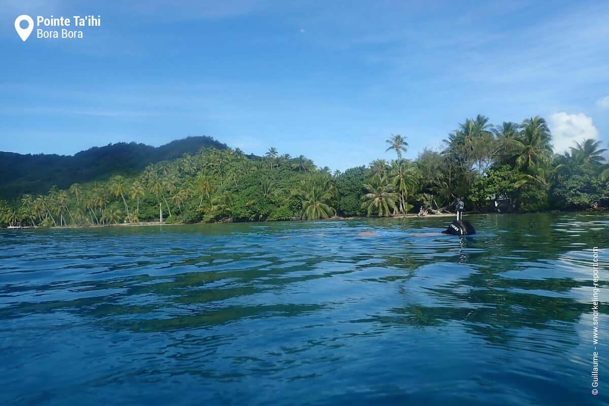 Snorkelers at Pointe Ta'ihi, Bora Bora