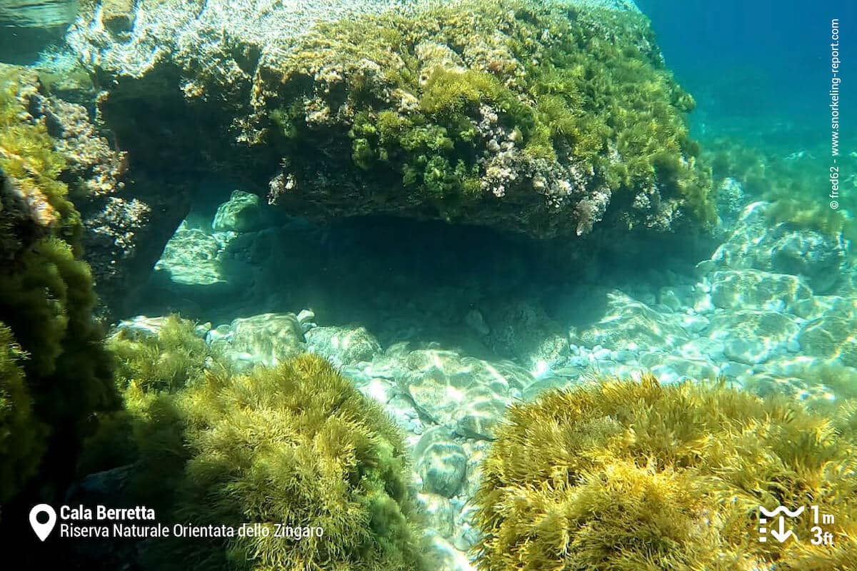 Rocky seabed at Cala Berretta