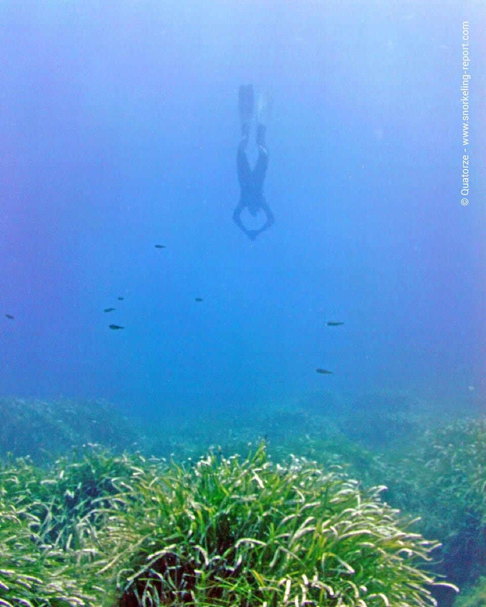 Snorkeler skindiving Gozo's Blue Hole