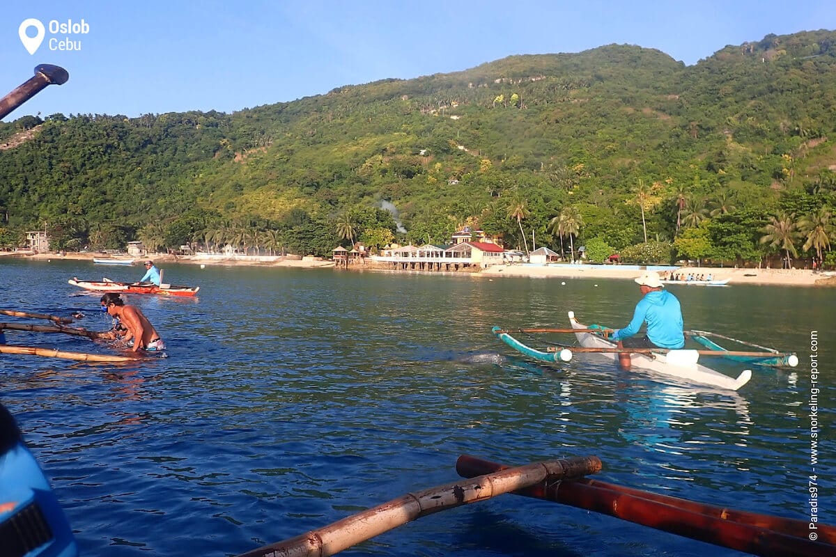 Oslob Whale Shark observation area