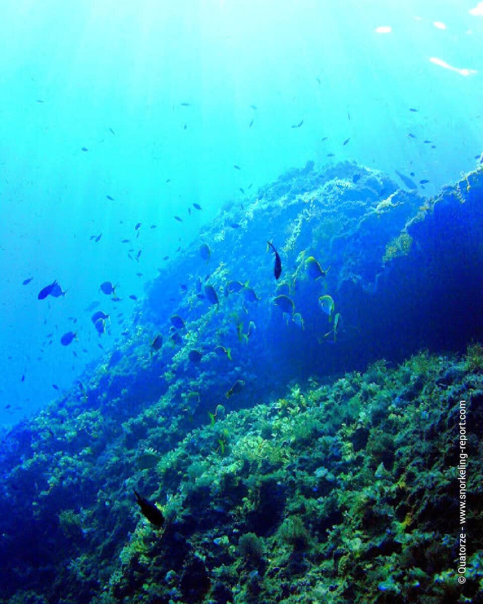 The Blue Hole, Gozo.