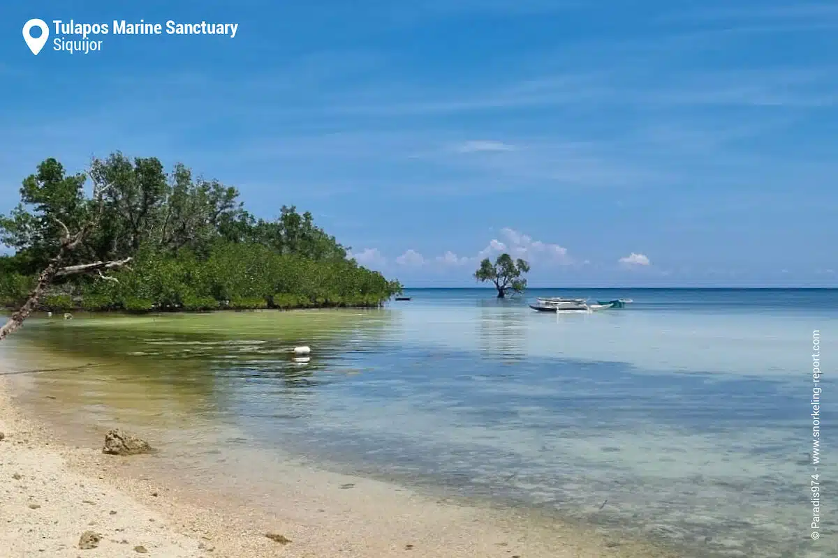 The shore at Tulapos Marine Sanctuary, Siquijor