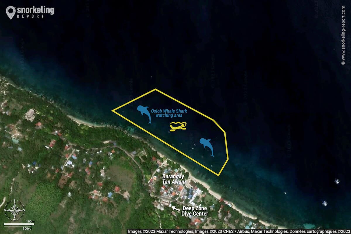 Oslob Whale Shark watching area snorkeling map.