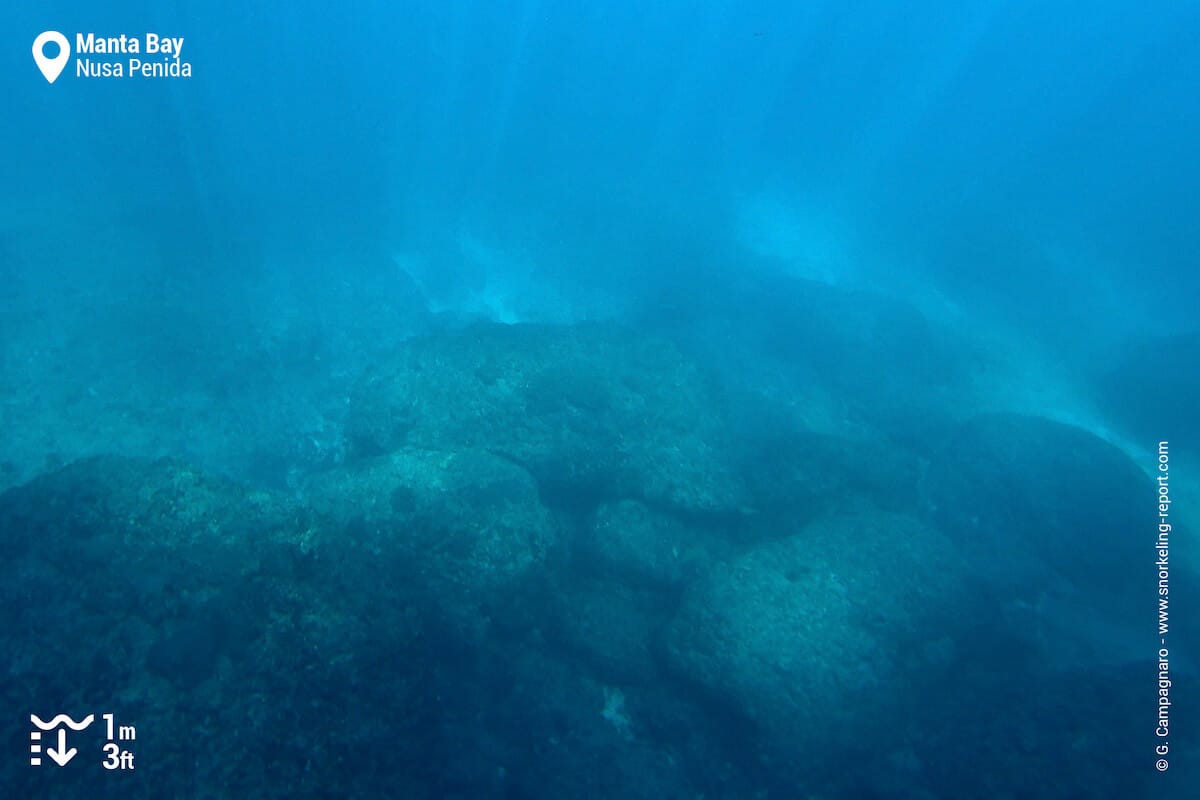 Seabed at Manta Bay