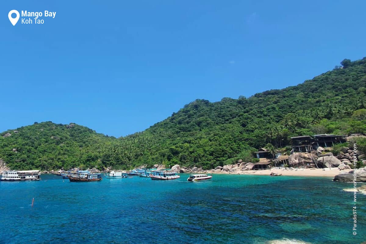 Mango Bay, Koh Tao