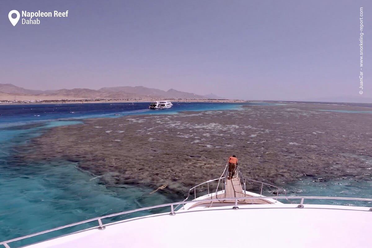 Napoleon Reef seen from a dive boat