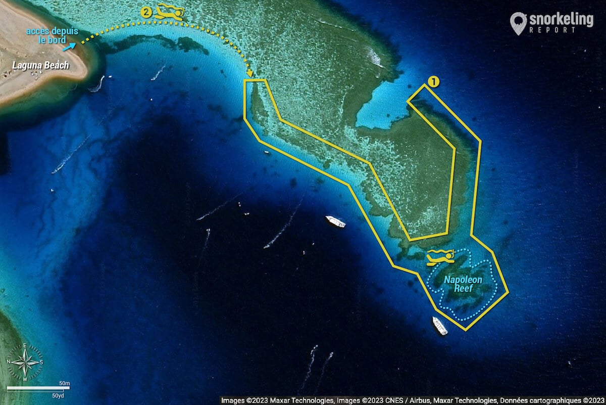 Napoleon Reef snorkeling map, Dahab
