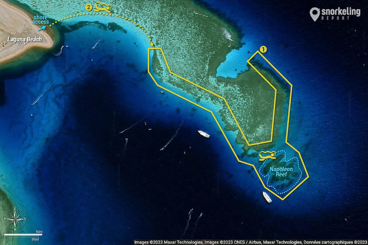 Carte snorkeling à Napoleon Reef, Dahab