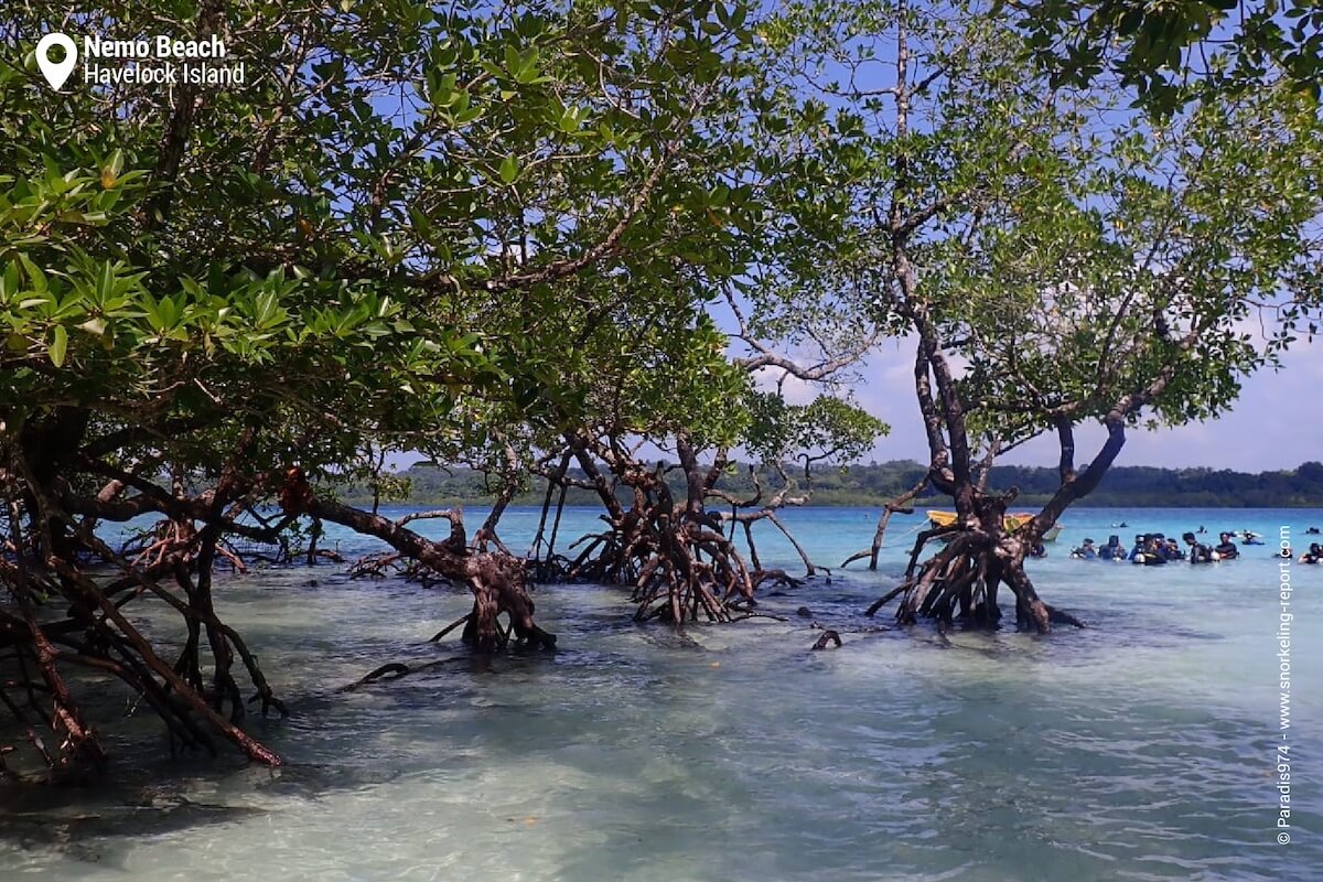 Nemo Beach, Havelock