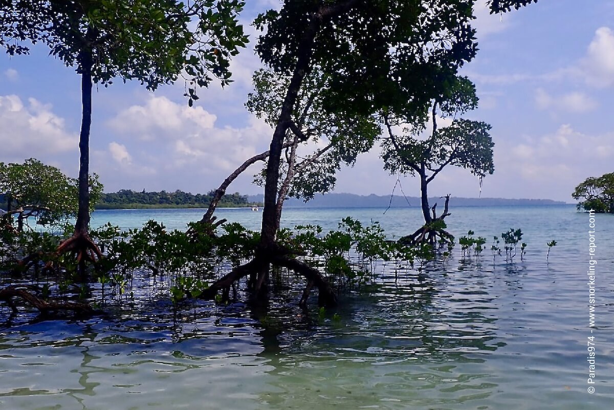 Nemo Beach, Havelock island