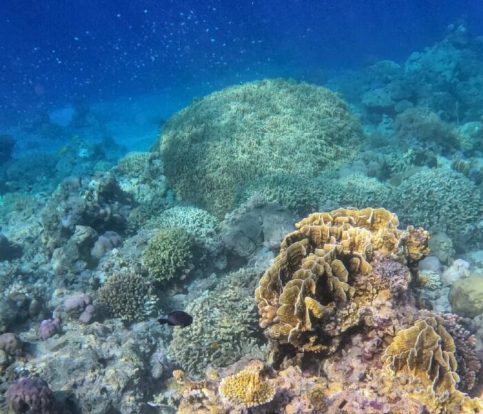 Pulau Satonda