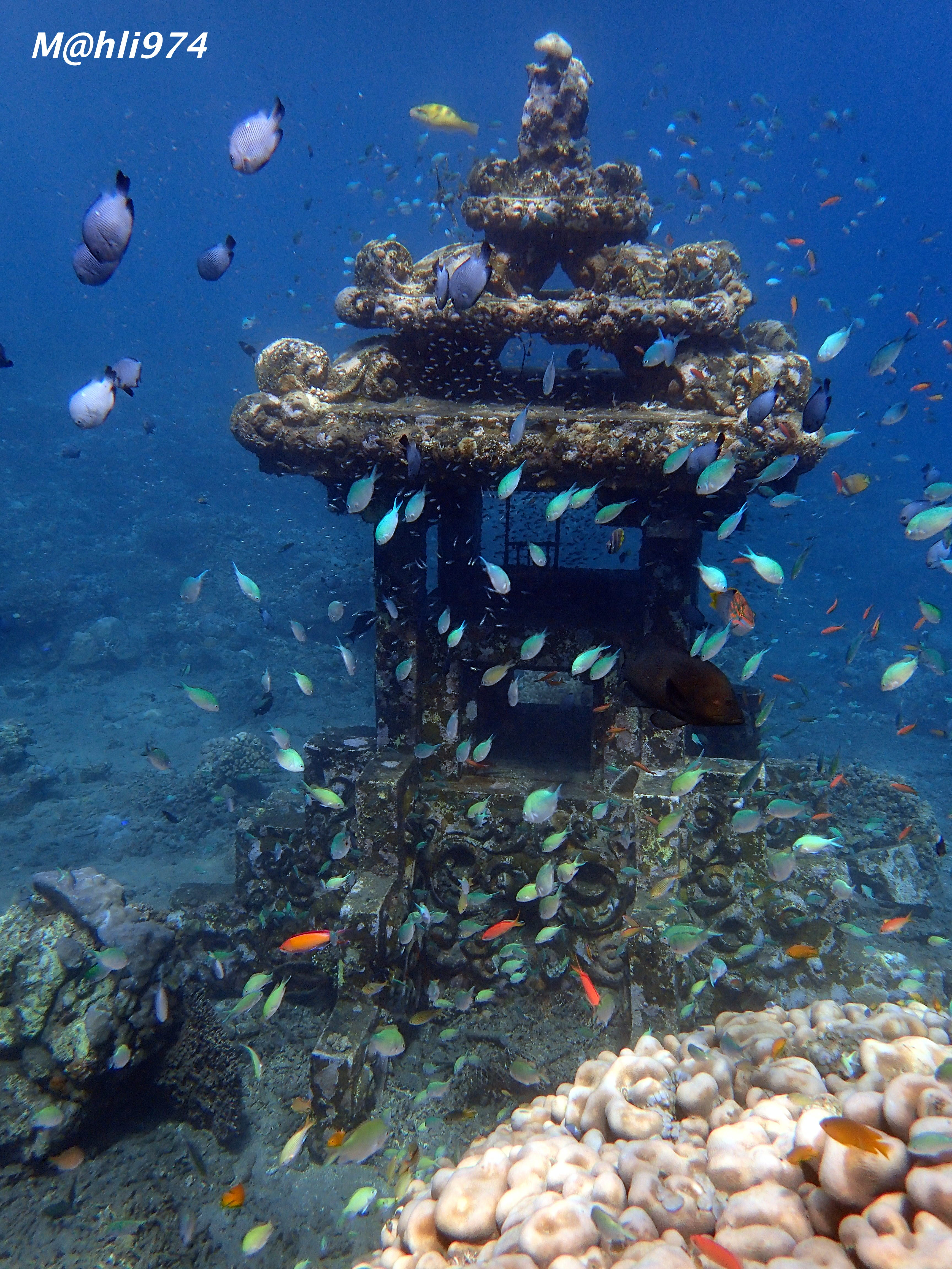  Snorkeling  sur le spot de Jemeluk Beach Amed  Snorkeling  