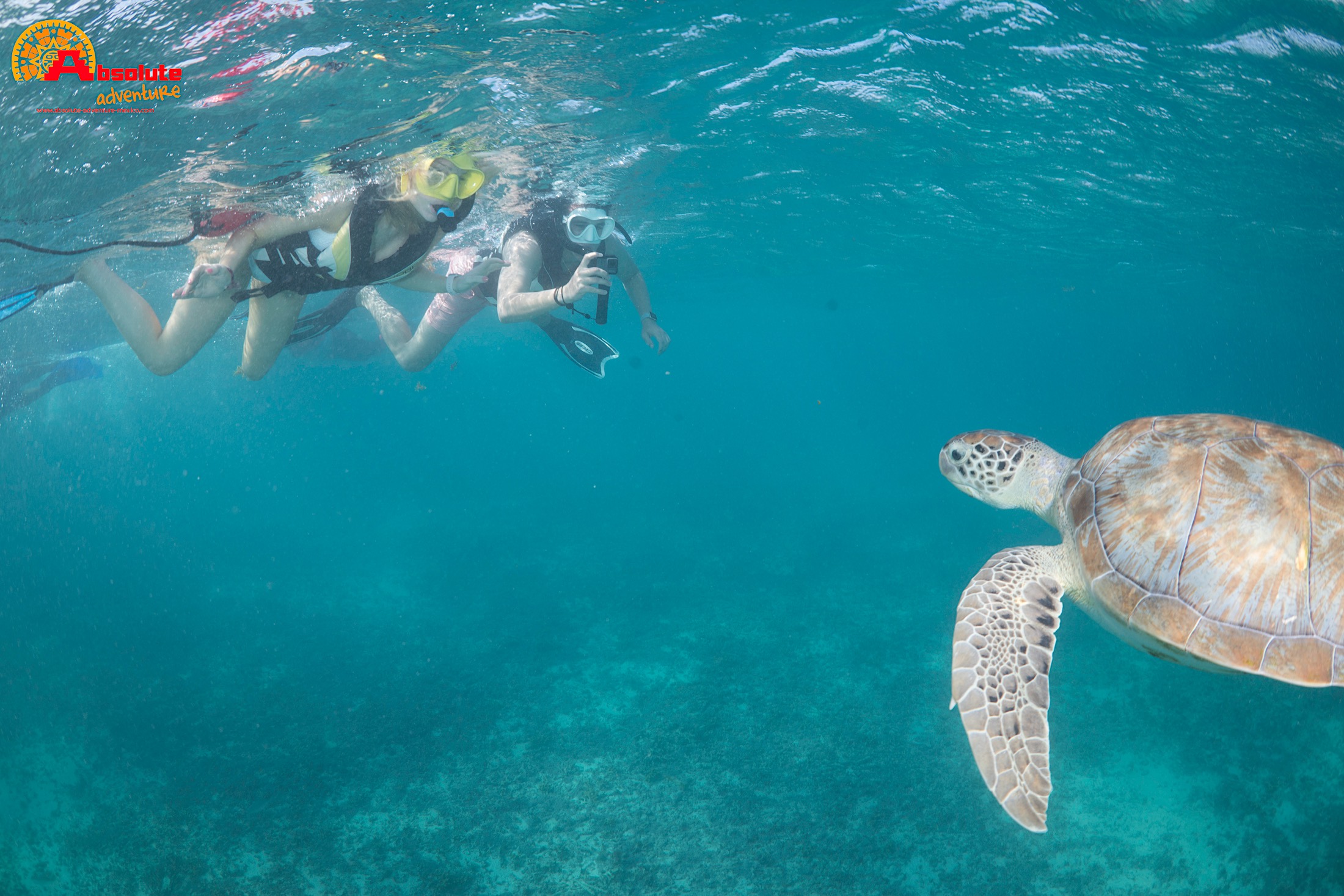 akumal snorkeling tour