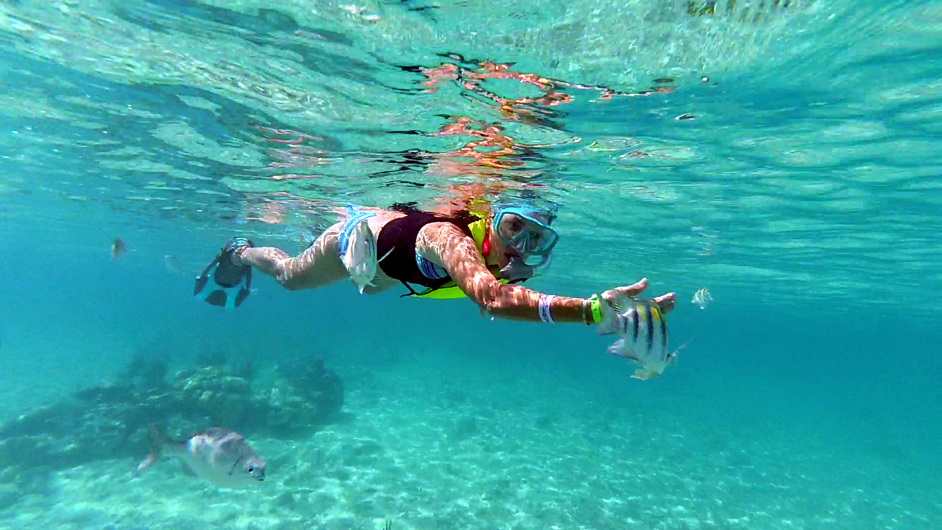 akumal snorkeling tour