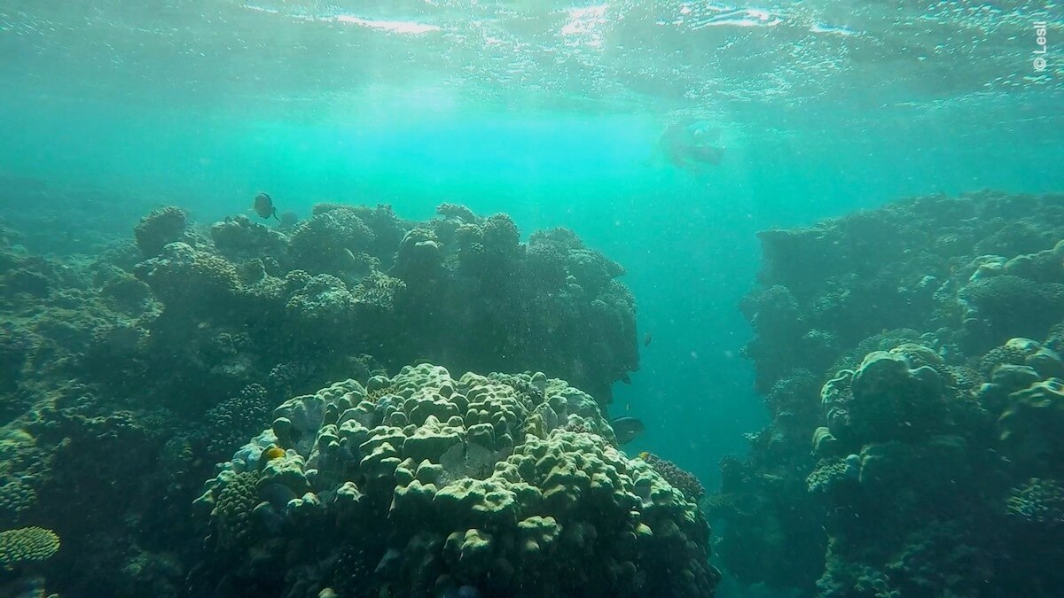 Snorkeling at Masdoda (El Masduda), Marsa Alam | Snorkeling in Egypt