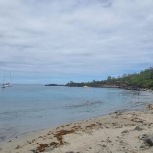 Paradis974